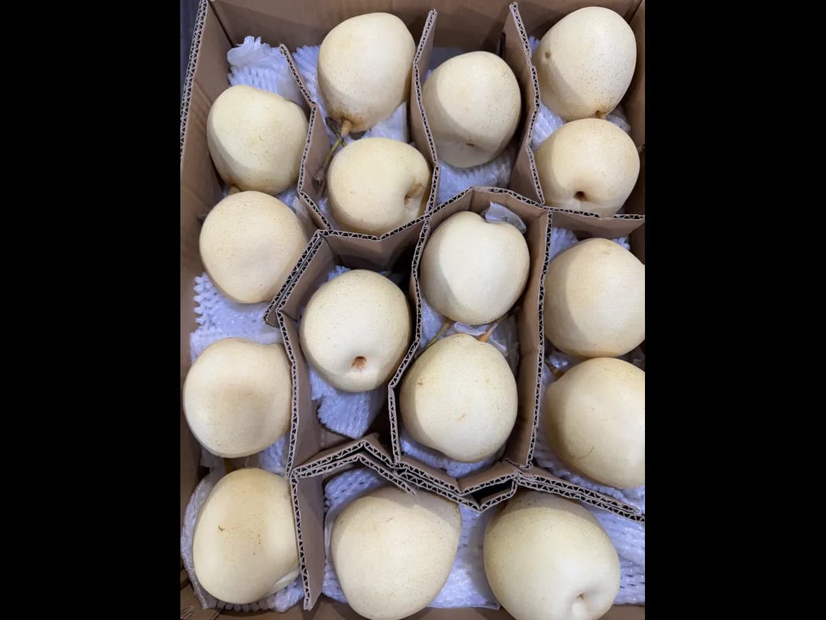 Груша свежая китайская