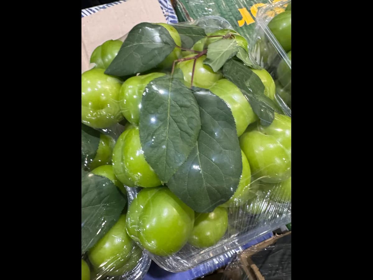 Алыча зеленая мини молодая кислая