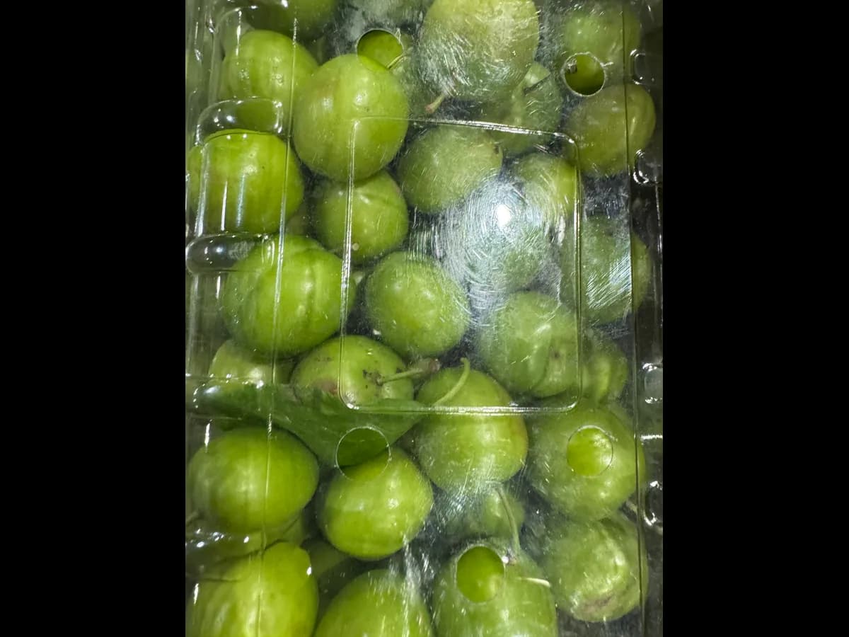 Алыча зеленая мини молодая кислая