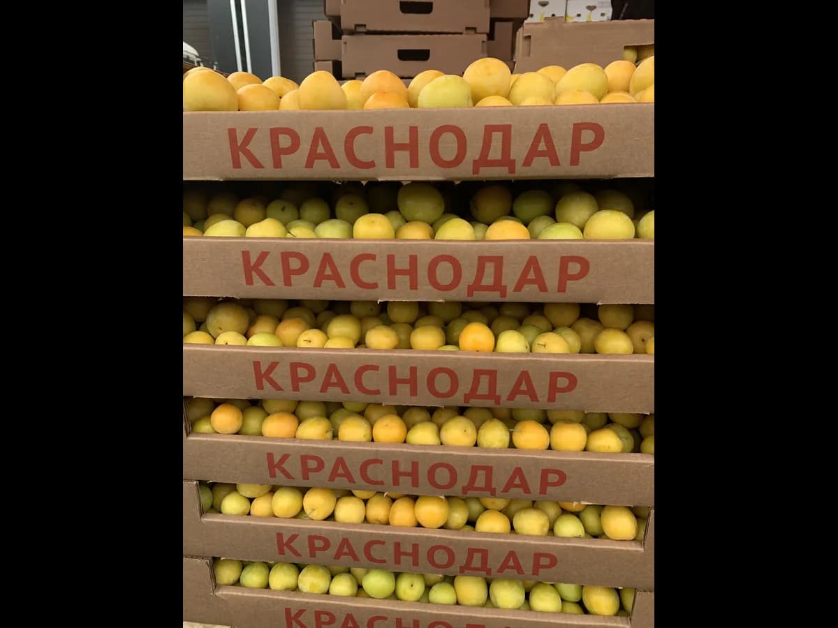Алыча жёлтая