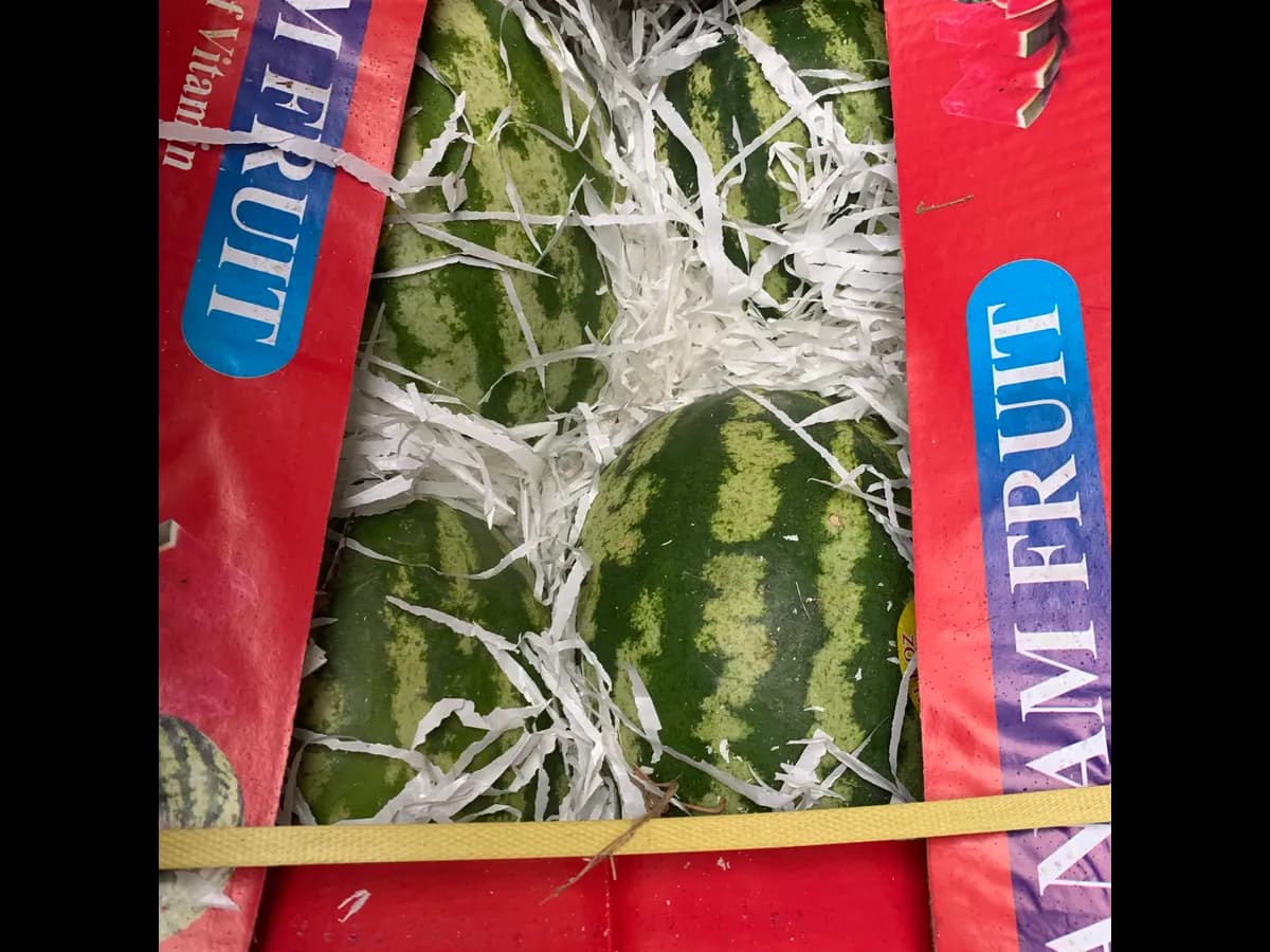 Арбуз красный круглый