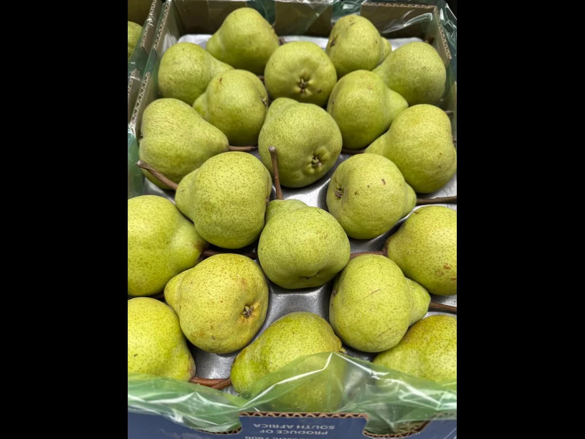 Груша пакхам